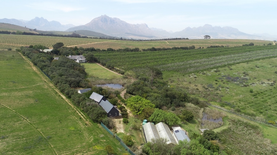 5 Bedroom Property for Sale in Stellenbosch Farms Western Cape